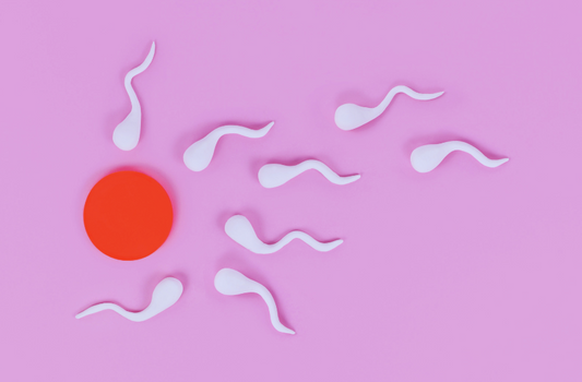 impact du froid sur la fertilité des hommes