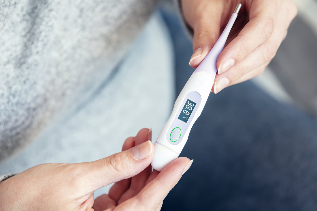 L’homéostasie : comprendre l’équilibre naturel du corps